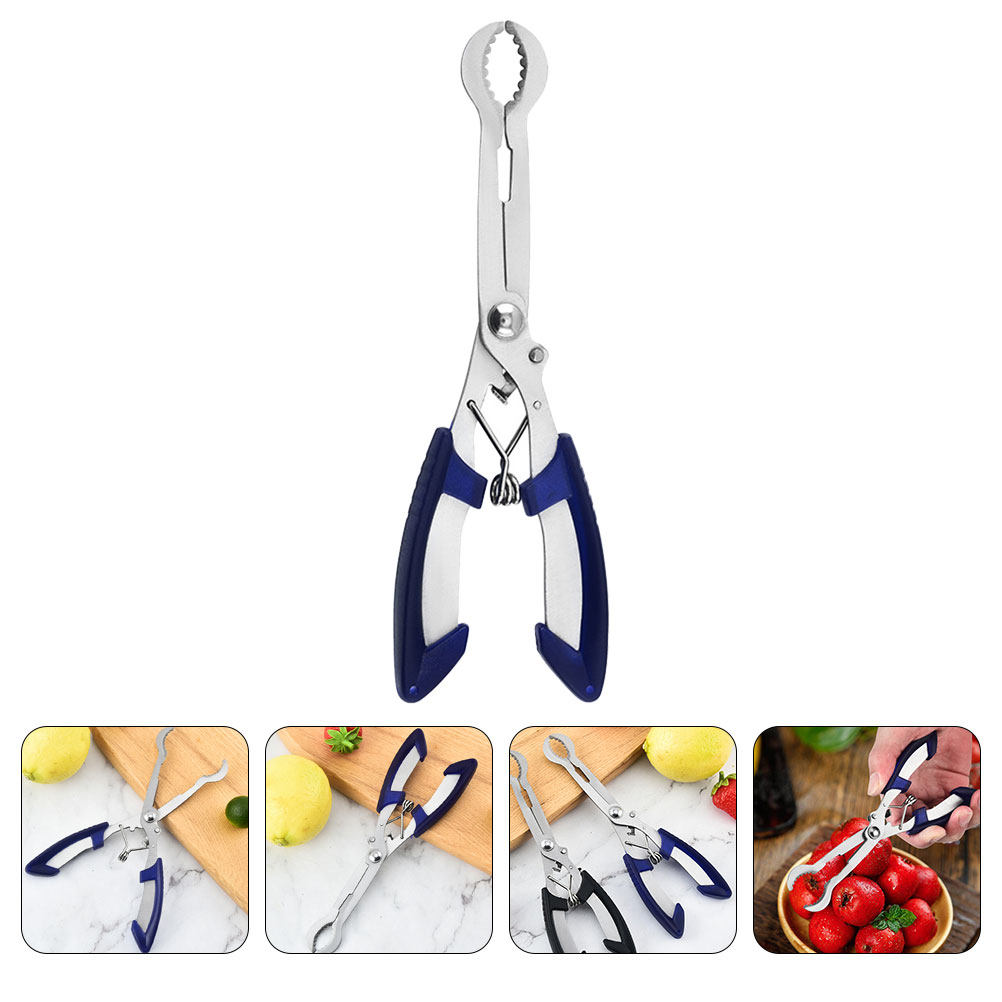 Outil à dénoyauteur d'aubépine - Kitchen Gadgets And Tools avis et prix
